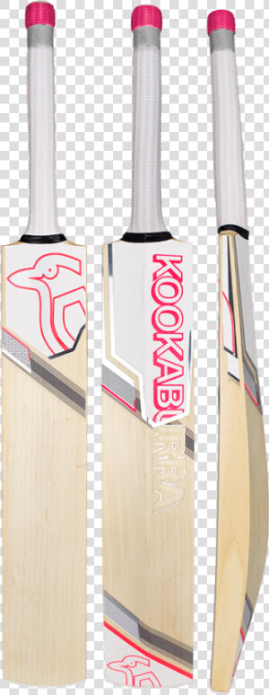 Kookaburra Cricket Bats 2019  HD Png Download