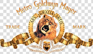 Metro Goldwyn Mayer Logo  HD Png Download