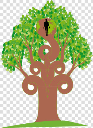 Tree Clipart Clipart Mango Tree   Illustration  HD Png Download