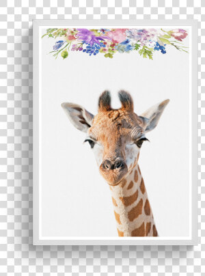 Giraffe Floral Class Lazyload Lazyload Fade In Cloudzoom   Giraffe  HD Png Download