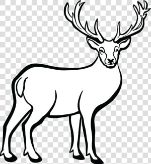 Free Clipart Of A Buck Deer   Deer Black And White  HD Png Download