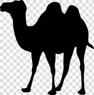 Camel Transparent Nomad   Black Camel Clipart  HD Png Download