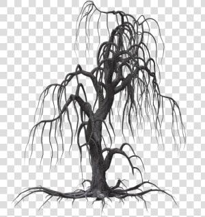 Creepy Tree 19 By Wolverine041269 On Clipart Library   Haunted Trees Png  Transparent Png