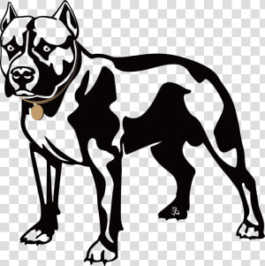 Pitbull Clipart Black White   Pitbull Clipart Black And White  HD Png Download