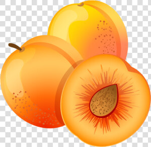 Apricot Png   Apricot Clipart Png  Transparent Png