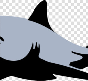 Free Clipart Shark Shark Clip Art Black And White Clipart   Blue Paul Shark Logo  HD Png Download