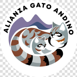 Alianza Gato Andino  HD Png Download