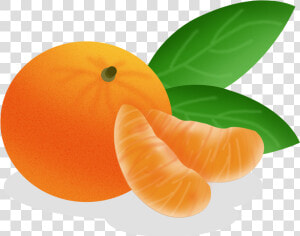 Cartoon Hand Drawn Fruit Food Png And Psd   Tangerine Cartoon  Transparent Png