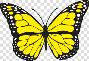 Yellow Butterfly Clipart � Clipart Free Download   Yellow Butterfly Clipart  HD Png Download