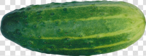 Cucumber Png Image   Transparent Background Cucumber Clipart Transparent  Png Download