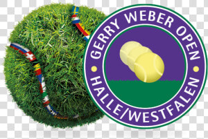 No Javascript   2015 Gerry Weber Open  HD Png Download