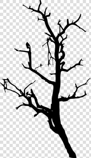 Pine Trees Forest Silhouette   Dead Tree Silhouette Png  Transparent Png