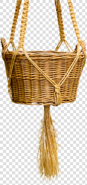 Basket Wicker Basket Isolated Kitten In The Basket   Cat  HD Png Download