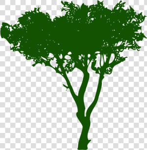 Silhouette Arbre   Arbre Silhouette Png  Transparent Png