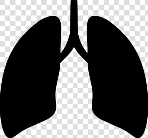 Svg Icon Free Download   Lungs Icon Png  Transparent Png