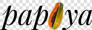 Papaya Logo Png  Transparent Png