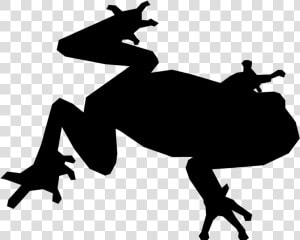 Frog Computer Icons Toad Control Key   Frog Icon Black And White  HD Png Download