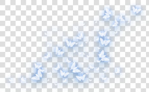  ftestickers  light  glow  butterflies  butterflylight   Glowing Blue Butterflies Png  Transparent Png