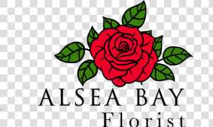 Alsea Bay Florist   Floribunda  HD Png Download