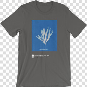 Anna Atkins 1 Mockup Front Wrinkled Asphalt   Tres Butch T Shirt Uk  HD Png Download