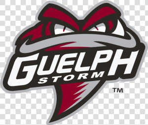 Guelph Storm  HD Png Download