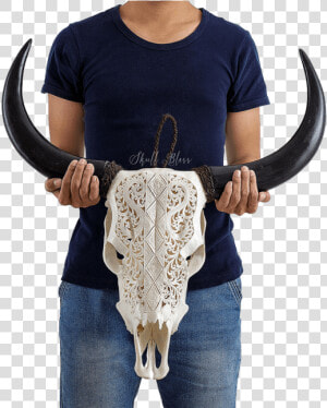 Carved Cow Skull    Xl Horns   Goat Skull Viking Carved  HD Png Download