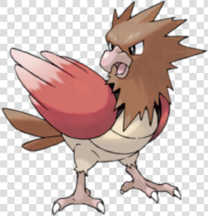 Pokémon Wiki   Spearow Pokemon  HD Png Download