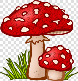 Free Cliparts Mushroom   Mushroom Clipart  HD Png Download