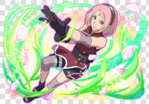 Image   Sakura Haruno Cherry Blossoms On The Front Line  HD Png Download