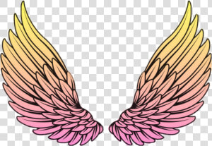  wings  wing  sayap  yellow  pink  orange   Drawing Angel Wings  HD Png Download