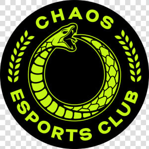 Chaos Esports Club Dota 2  HD Png Download