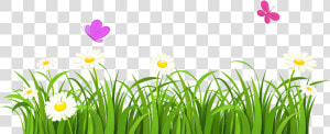 Collection Of Free Vector Bush Grass African   Clipart Grass With Flowers  HD Png Download