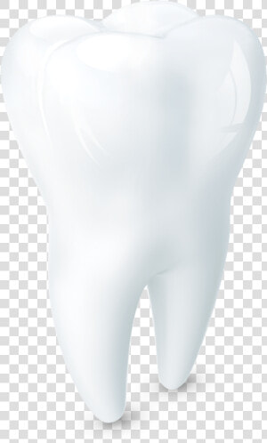 Une Dent Blanche Et Saine À Côté D Une Dent Jaunie   Inflatable  HD Png Download