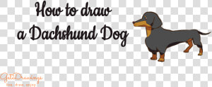 How To Draw A Dachshund Dog   Dachshund  HD Png Download