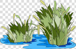 Swamp Vector Marsh Grass   Pantano Png  Transparent Png