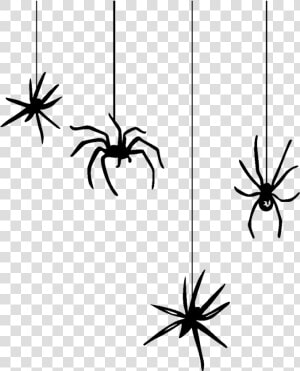 Hanging Spider Png   Spider Clipart  Transparent Png