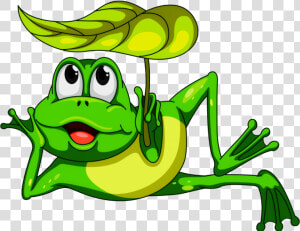  mq  green  frog  frogs  toad   Cartoon Frog Transparent Background  HD Png Download