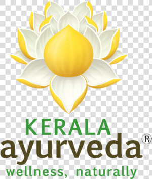 Gold Sponsor   Kerala Ayurveda Academy Logo  HD Png Download