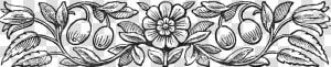 File     Black And White Floral Design For Header  HD Png Download