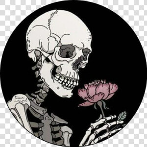  skeleton  skull  rose  roses  skeletons  skulls  grunge   Deathly Skeleton  HD Png Download