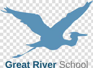 Great River School   Seabird  HD Png Download