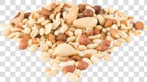 Mixed Nut Kernels Unsalted   Mixed Nuts  HD Png Download