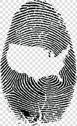 Free Clipart Of A Thumb Print With The United States   Fibonacci Sequence In Fingerprint  HD Png Download