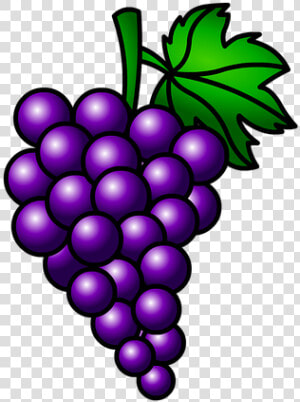 Uvas  Frutas  Racimo   Racimo De Uvas Moradas  HD Png Download