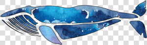 Blue Whale Quilts   Buckelwal Logo  HD Png Download