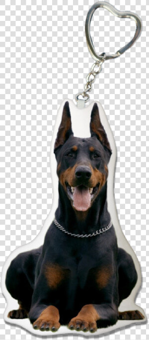 Doberman Pinscher Keyring   เช พ เพิ ร์ ด  HD Png Download