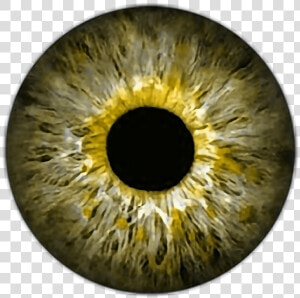  eye    eyes    eyeball    eyeballs   Red Eye Lens Png  Transparent Png