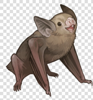 Bats Drawing Realistic   Vampire Bat Drawing  HD Png Download