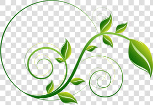 Decorative Leaf Png File   Green Leaf Png  Transparent Png