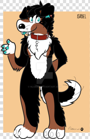 Bernese Mountain Dog Clipart Png Cartoon   Bernese Mountain Dog Anthro  Transparent Png